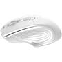 Mouse, wireless, optical, PIXART senzor, CANYON 