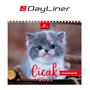 Calendar, desktop, standing, DAYLINER "Cats"