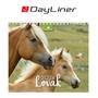 Calendar, desktop, standing, DAYLINER "Horses"