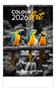 Calendar, wall, DAYLINER "Colour Art"