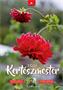 Calendar, wall, DAYLINER "Master Gardener"