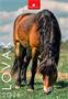 Calendar, wall, DAYLINER "Horses"