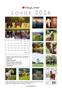 Calendar, wall, DAYLINER 