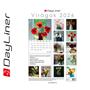 Calendar, wall, DAYLINER 