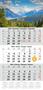 Calendar, forwarding, three months, one block, DAYLINER