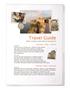 Self-laminating foil, A4, self-adhesive, DURABLE 
