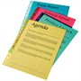 Punched pockets, A4, 55 micron, clear, ESSELTE, blue