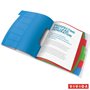 Correspondence folder, A4, 6 parts, plastic, ESSELTE "Vivida", trasparent
