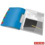 Correspondence folder, A4, 12 parts, plastic, ESSELTE "Vivida", trasparent
