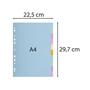 Dividers, cardboard, A4, 10 parts, EXACOMPTA, pastel colors