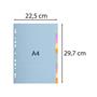 Dividers, cardboard, A4, 12 parts, EXACOMPTA, pastel colors
