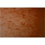 Flap folder, pressboard, A4, EXACOMPTA, orange