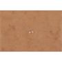 Flap folder, pressboard, A4, EXACOMPTA, barna