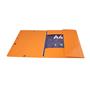 Flap folder, cardboard, A4, EXACOMPTA 