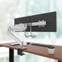 Monitor arm, for two monitor, FELLOWES 