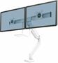 Monitor arm, for two monitor, FELLOWES 