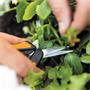 Pruning shears, micro-tip, FISKARS 