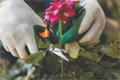 Pruning shears, pointed, FISKARS 