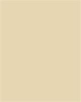 Decorative cardboard, 2-sided, 50x70cm, 220 g, 10 sheets, FOLIA, beige