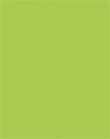 Decorative cardboard, 2-sided, 50x70cm, 220 g, 10 sheets, FOLIA, spring green