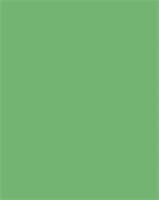 Decorative cardboard, 2-sided, 50x70cm, 220 g, 10 sheets, FOLIA, emerald green