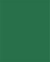 Decorative cardboard, 2-sided, 50x70cm, 220 g, 10 sheets, FOLIA, pine green