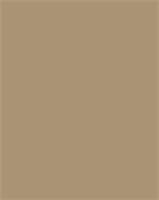 Decorative cardboard, 2-sided, 50x70cm, 220 g, 10 sheets, FOLIA, fawn brown