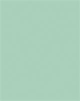 Drawing paper, coloured, A3, 130 g, 50 sheets, FOLIA, mint