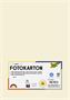 Photo cardboard, A4, 300 g, 50 sheets, FOLIA, beige