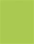 Photo cardboard, A4, 300 g, 50 sheets, FOLIA, spring green