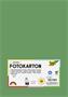 Photo cardboard, A4, 300 g, 50 sheets, FOLIA, moss green