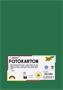 Photo cardboard, A4, 300 g, 50 sheets, FOLIA, pine green