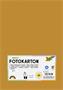 Photo cardboard, A4, 300 g, 50 sheets, FOLIA, terracotta