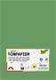 Tinted Paper, A4, 130 g/m˛, 100 sheets, FOLIA, moss green