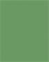 Tinted Paper, A4, 130 g/m˛, 100 sheets, FOLIA, moss green