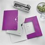 Flap folder with rubberband, PP, A4, LEITZ 