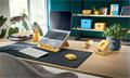 Desk mat, 80x40 cm, non-slip, LEITZ 