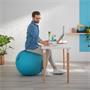Top ball, LEITZ 