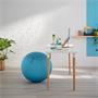 Top ball, LEITZ 