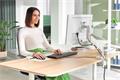Monitor arm, for one monitor, LEITZ 