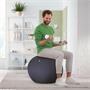 Sitting ball, stopper function,  65cm, LEITZ 