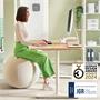 Sitting ball, stopper function, 75cm, LEITZ 