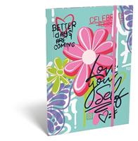 Flap folder with rubberband, cardboard, A4, ICO, 