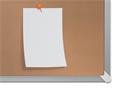 Cork board, widescreen, 55