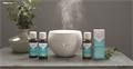 Essential oil, for diffuser, 30 ml, PANAROM 