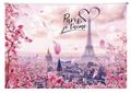 Document holder bag, A4, PP, with zip, 180 micron, PANTA PLAST "Take me to Paris"