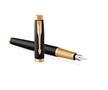 Fountain pen, gold colour clip, engraved black body, PARKER, 