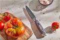 Peeler knife, 10 cm, RESTO 