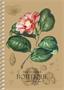 Wirebound notebook, A6, squared, 80 sheets, SHKOLYARYK 