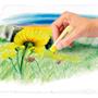 Pastel crayons, STAEDTLER 